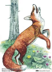 Liška - terč myslivecký