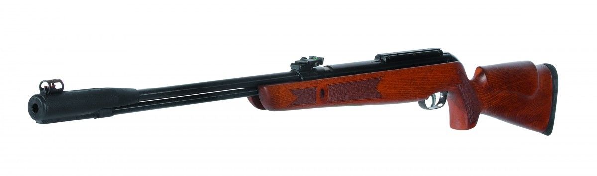 Gamo CFX Royal