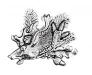 Odznak hlava jelena s úlomkem, šiškami a dubovým listem