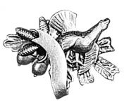 Odznak tetřev s šiškami a stuhou
