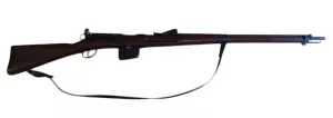 Schmidt Rubin M1889 gp90