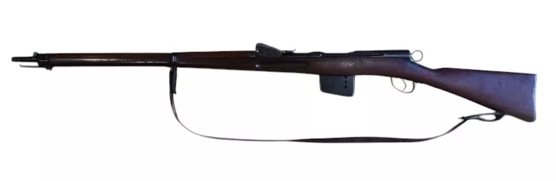 Schmidt Rubin 1889