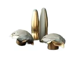 střela Sellier&Bellot SP