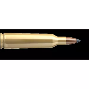 Kulový náboj Sellier & Bellot 22-250 Rem SBT 3,6 g / 55 gr