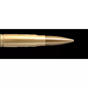 Kulový náboj Sellier & Bellot 300AAC Blackout SUBSONIC FMJ 13,0 g / 200 gr Kulový náboj Sellier & Bellot 300AAC Blackout SUBSONIC FMJ 13,0 g / 200 gr