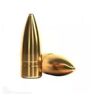 Sellier & Bellot střela 2907 FMJ ráže 7,62