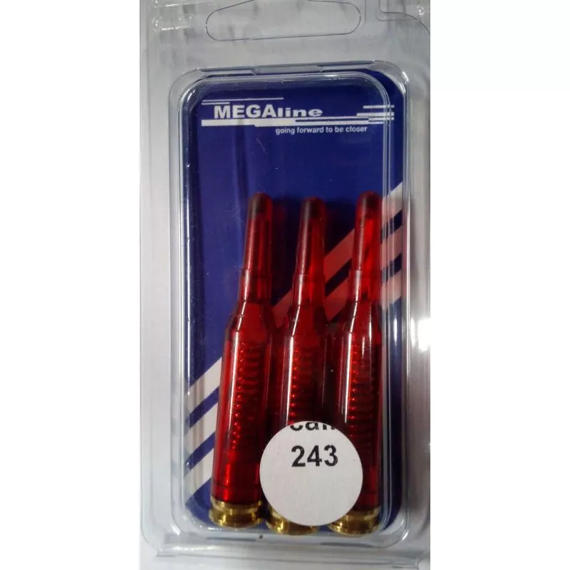 Cvičná vybíjecí munice ráže 243 Win
