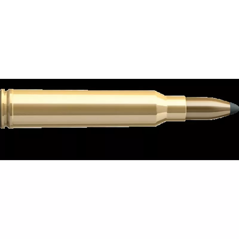 Kulový náboj Sellier & Bellot 300 Win Mag NSR 11,7 g / 180 gr