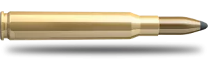 Náboj 30-06 Nosler