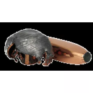 Kulový náboj Norma 9,3x62 Oryx 21,1 g Norma 9,3x62 Oryx 21,1 g