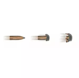 Kulový náboj RWS 223 Rem TMS 3,6 g / 55 gr Kulový náboj RWS 223 Rem TMS 3,6 g / 55 gr