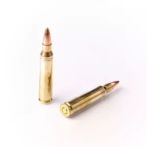 Kulový náboj Fiocchi 223 Rem. FMJ 3,6 g / 55 gr Kulový náboj Fiocchi 223 Rem. FMJ 3,6 g / 55 gr