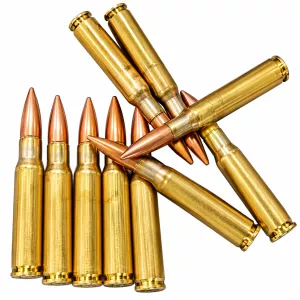 Kulový náboj 50 BMG FMJ 42,8 g / 660 gr C.I.P. Náboj 50 BMG FMJ 42,8 g / 660 gr C.I.P.